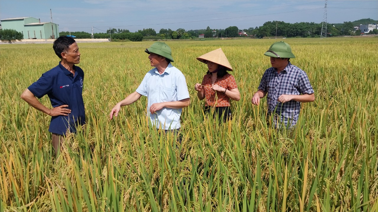 Tân Yên: Người nông dân đam mê sáng chế máy nông nghiệp